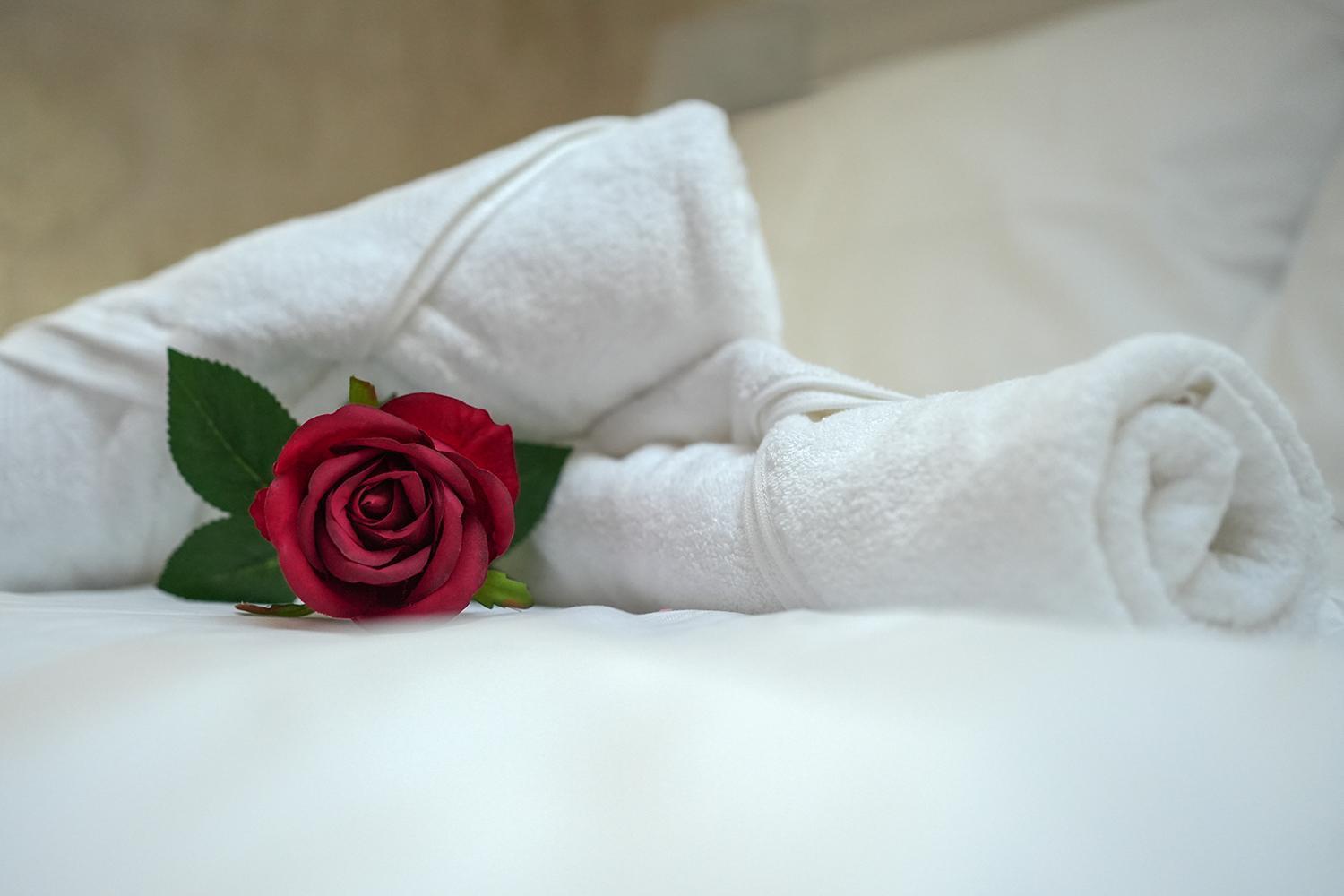 Evasion Chic, Spa Et Sauna Sous Les Toits น็องซี ภายนอก รูปภาพ